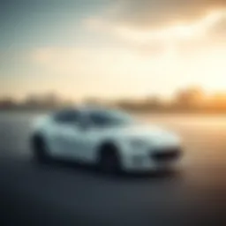 Анализ компании ЛУКОЙЛ: покупка и управление акциями 1539487 Introduction