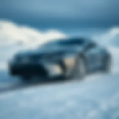 Climate conditions affecting oil choices