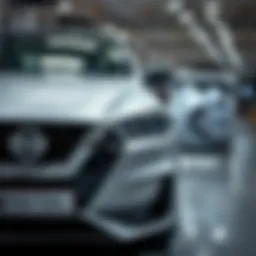 Исследование Ниссанотеки: Все, что необходимо знать Introduction