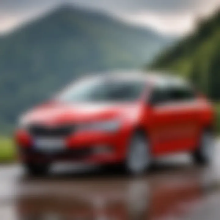 Skoda Rapid parked with a scenic background, representing automotive care